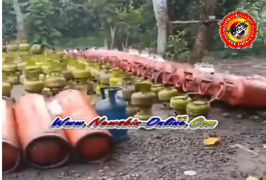 WhatsApp Image 2025-11-14 at 08.22.42