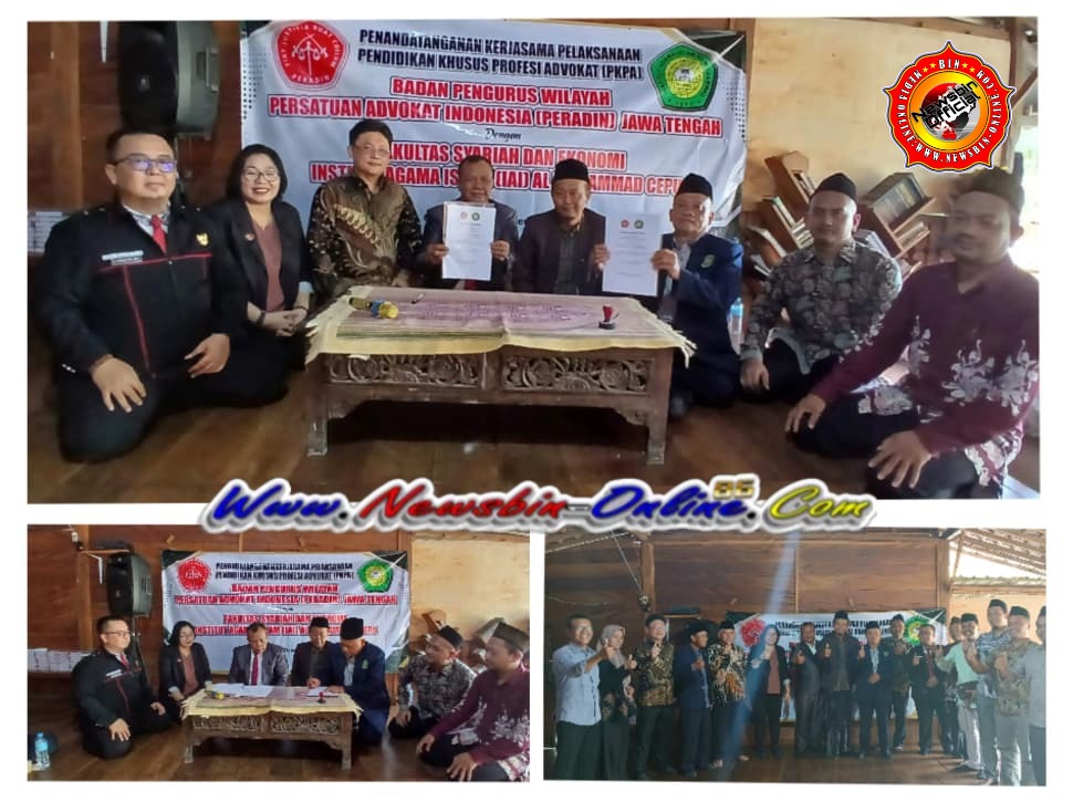 WhatsApp Image 2025-12-14 at 09.53.03