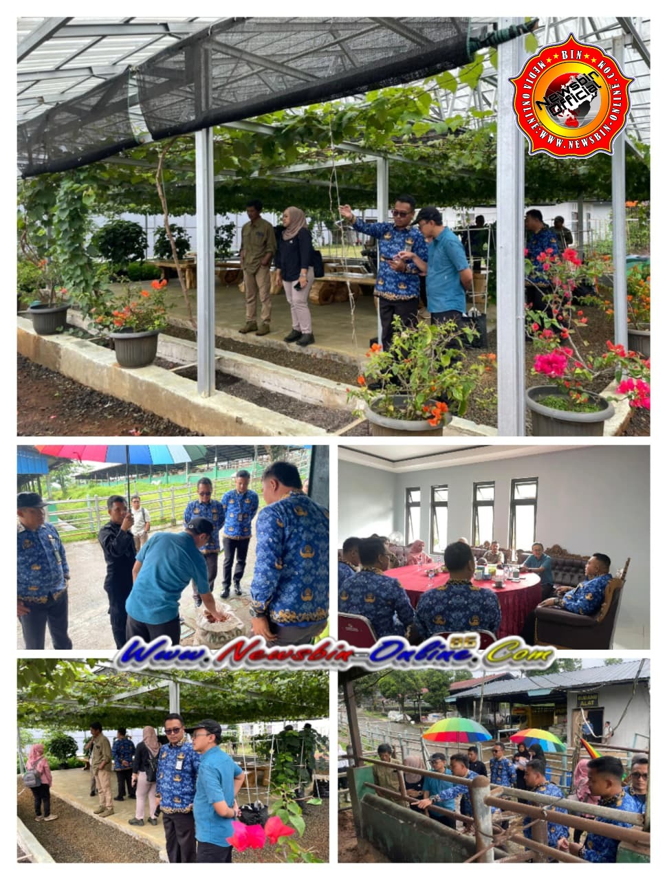 WhatsApp Image 2025-12-17 at 20.19.46