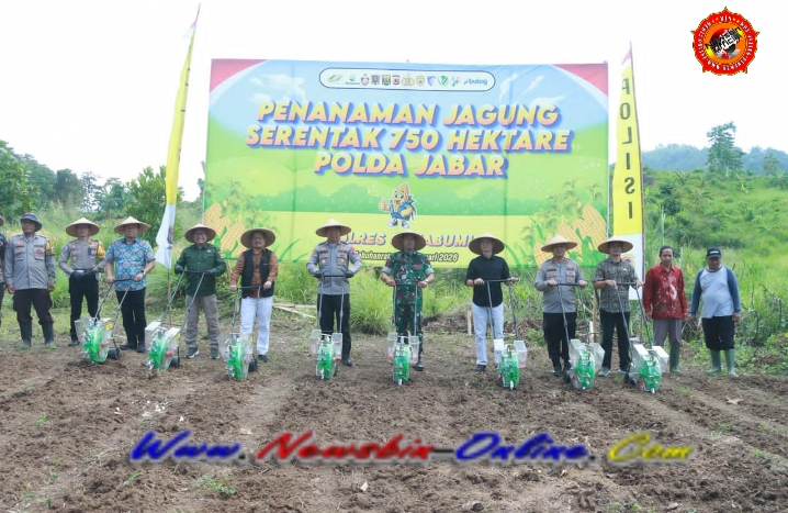 Screenshot_2026-01-29-12-15-47-55_6012fa4d4ddec268fc5c7112cbb265e7