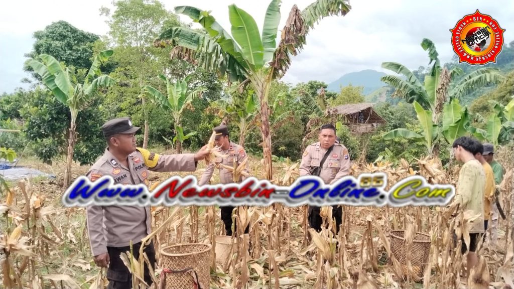 WhatsApp Image 2026-01-29 at 21.54.00