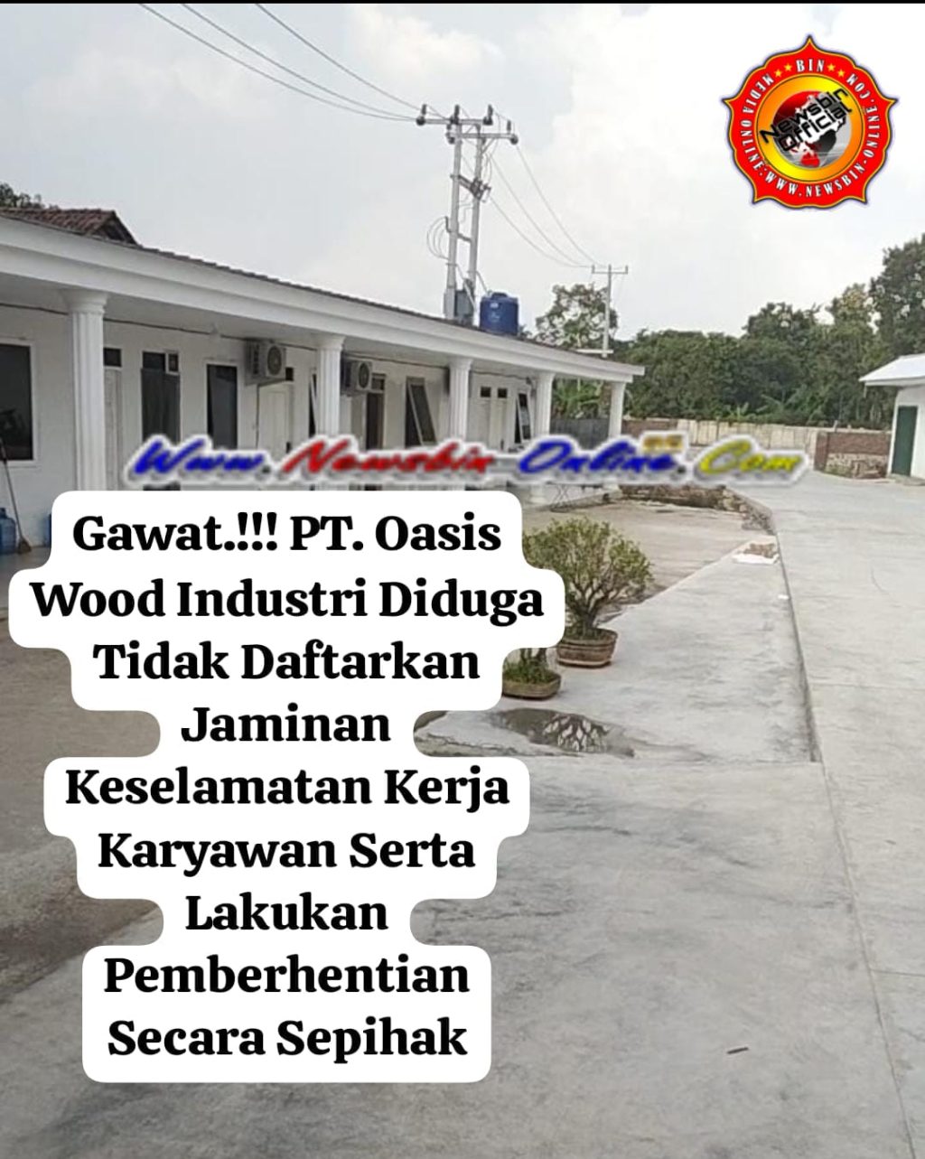 WhatsApp Image 2026-02-15 at 10.39.47