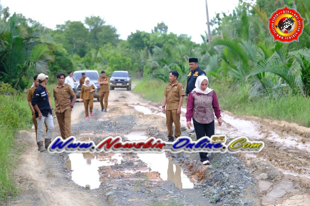 WhatsApp Image 2026-03-05 at 08.29.54