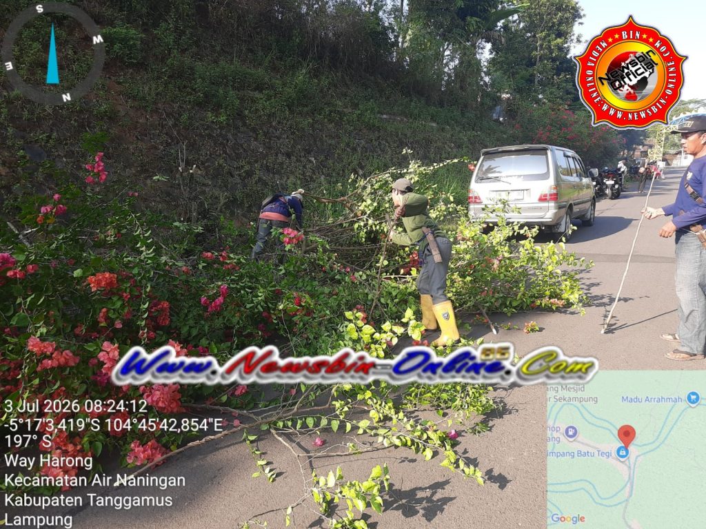 WhatsApp Image 2026-07-04 at 14.16.52