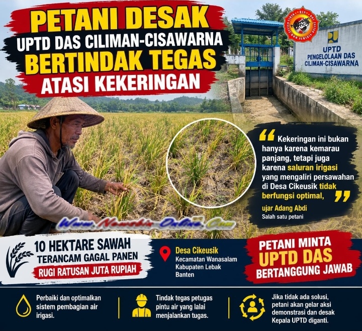 Petani Desak UPTD DAS Ciliman-Cisawarna Bertindak Tegas Atasi Kekeringan